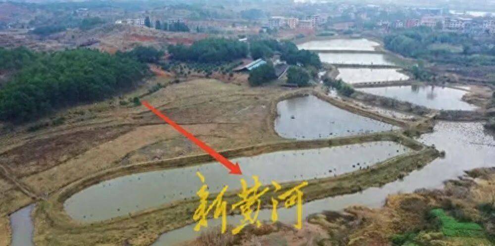 65歲農(nóng)婦荒塘養(yǎng)魚(yú)被判“非法占用農(nóng)地”：羈押10月后免刑<strong></p>
<p>宏鑫機(jī)械設(shè)備有限公司
</strong>，仍喊“我沒(méi)罪”:宏鑫機(jī)械設(shè)備有限公司
