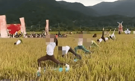 媒體：稻田開鐮儀式<strong></p>
<p>宏鑫機械設備有限公司
</strong>，表演哪門子瑜伽？:宏鑫機械設備有限公司
