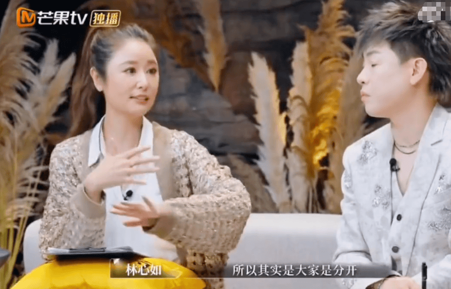 林心如談婚后相處模式，稱孕期沒有和霍建華一直在一起:宏鑫機(jī)械設(shè)備有限公司
