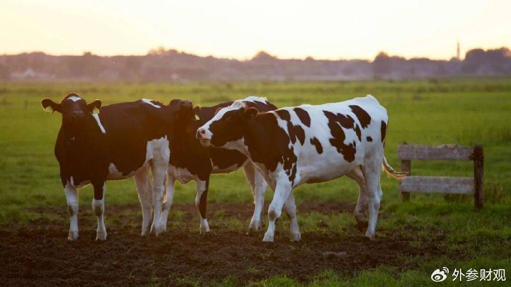 當(dāng)液態(tài)奶觸達(dá)天花板：伊利的下一個“金典”在哪里<strong></p>
<p>宏鑫機(jī)械設(shè)備有限公司
</strong>？:宏鑫機(jī)械設(shè)備有限公司
